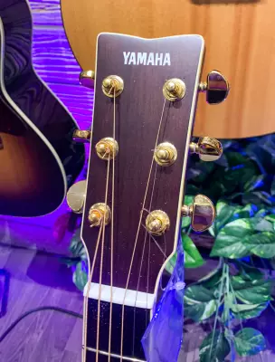 Yamaha - A.R.E. Dreadnought Acoustic/Electric Guitar 4